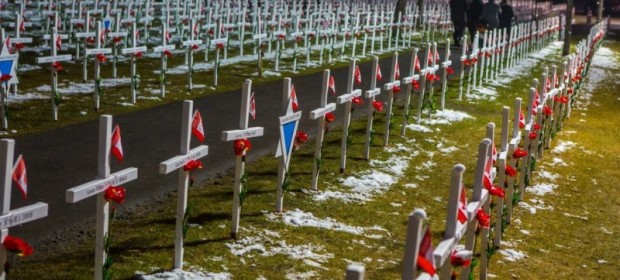 Crosses in a field decorated with poppies