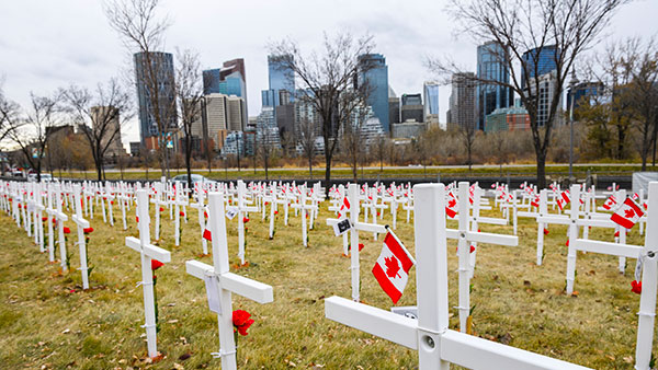 Field of crosses