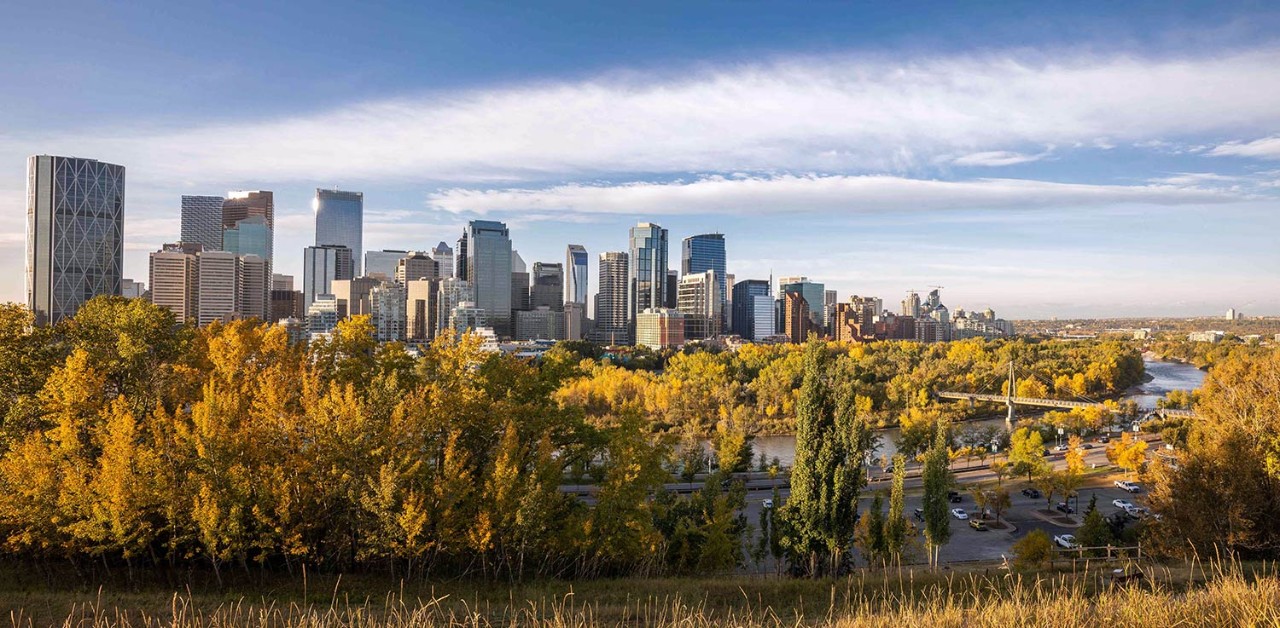 Fall in Calgary